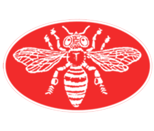 Website Under Construction!